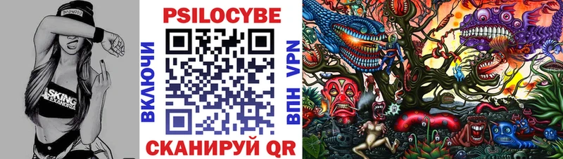 Псилоцибиновые грибы Cubensis  Мценск 