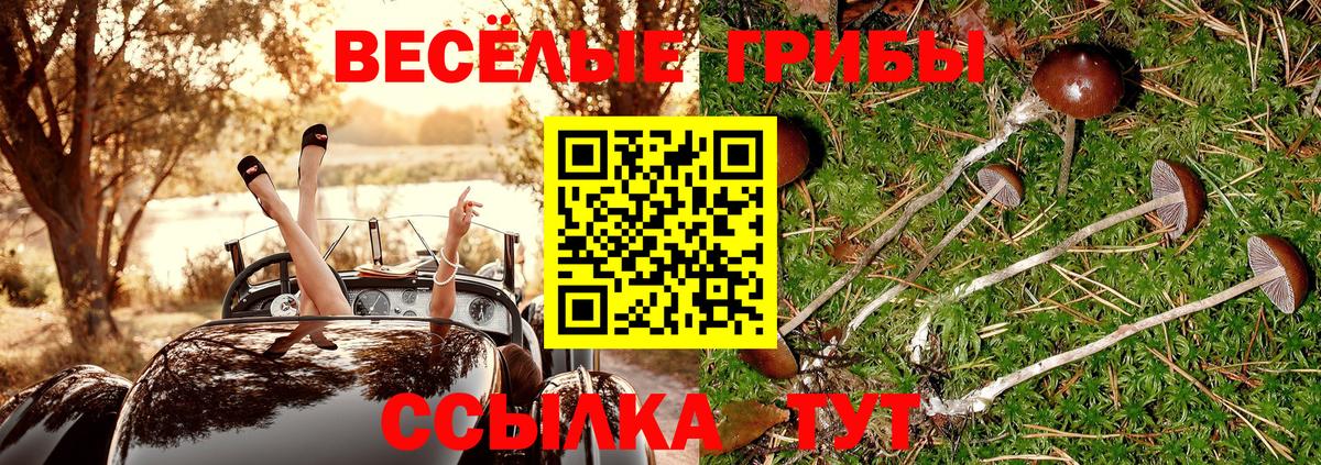 Галлюциногенные грибы ЛСД Мценск