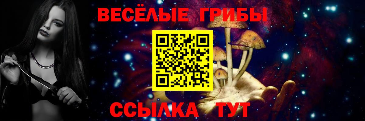 Мценск  Галлюциногенные грибы Cubensis  Галлюциногенные грибы GOLDEN TEACHER  Вход с VPN 